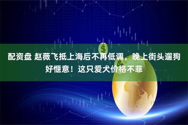 配资盘 赵薇飞抵上海后不再低调，晚上街头遛狗好惬意！这只爱犬价格不菲