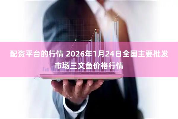 配资平台的行情 2026年1月24日全国主要批发市场三文鱼价格行情