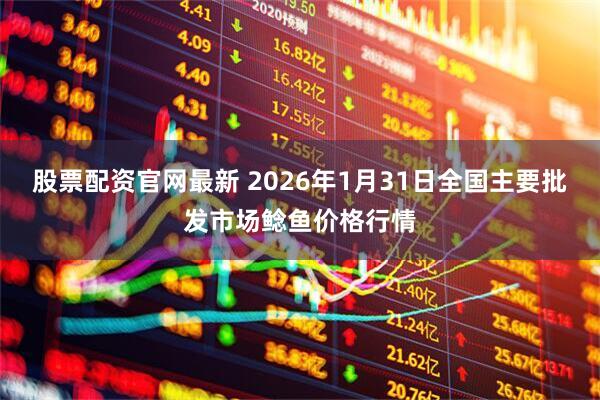 股票配资官网最新 2026年1月31日全国主要批发市场鲶鱼价格行情
