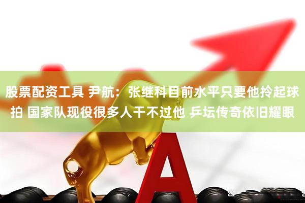 股票配资工具 尹航：张继科目前水平只要他拎起球拍 国家队现役很多人干不过他 乒坛传奇依旧耀眼