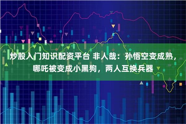 炒股入门知识配资平台 非人哉：孙悟空变成熟，哪吒被变成小黑狗，两人互换兵器